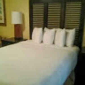 Meet your Posher, Kela